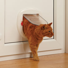 Carica l&#39;immagine nel visualizzatore di Gallery, Porta Staywell® per gatti di taglia grande e cani di taglia piccola
