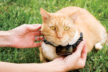 Carica l&#39;immagine nel visualizzatore di Gallery, Collare ricevitore aggiuntivo per sistema antifuga In-Ground Cat Fence™ con filo deluxe per gatti
