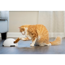 Carica l&#39;immagine nel visualizzatore di Gallery, Giocattolo Tana di Volpe gioco automatico per gatti

