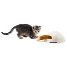 Carica l&#39;immagine nel visualizzatore di Gallery, Giocattolo Tana di Volpe gioco automatico per gatti
