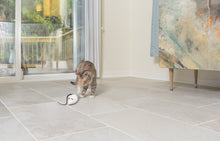 Carica l&#39;immagine nel visualizzatore di Gallery, RoloRat  Giocattolo automatico per gatti
