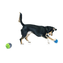 Carica l&#39;immagine nel visualizzatore di Gallery, Giocattoli elettronici per cani PetSafe® Ricochet
